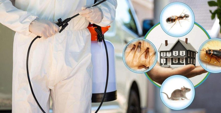 Gaziemir Böcek İlaçlama