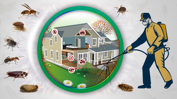 Gaziemir Böcek İlaçlama