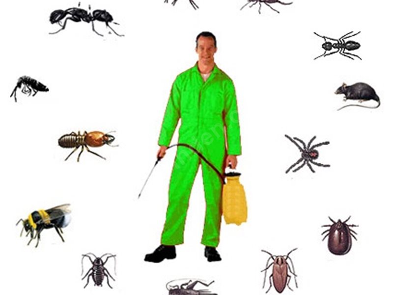 Gaziemir Böcek İlaçlama